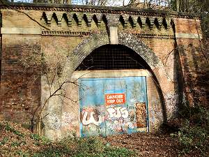 Tunnel mouth at Upper Sydenham