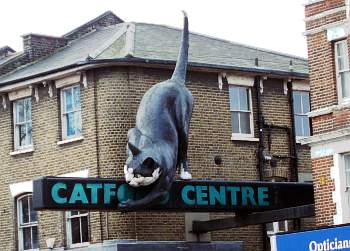 The Catford Cat