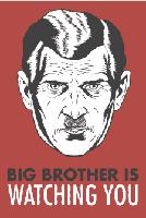 Big Brother is watching you !
