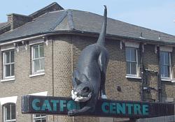 The Catford Cat