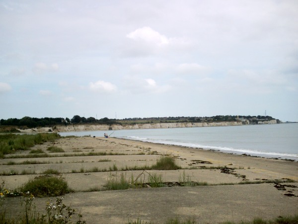 View north across the concrete apron