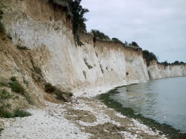 Start of the Thanet chalk