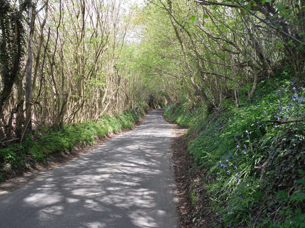 Country lane from Eridge station to Groombridge