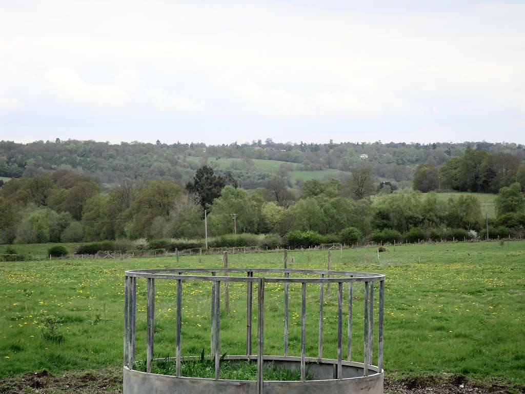 The rolling hills of sussex