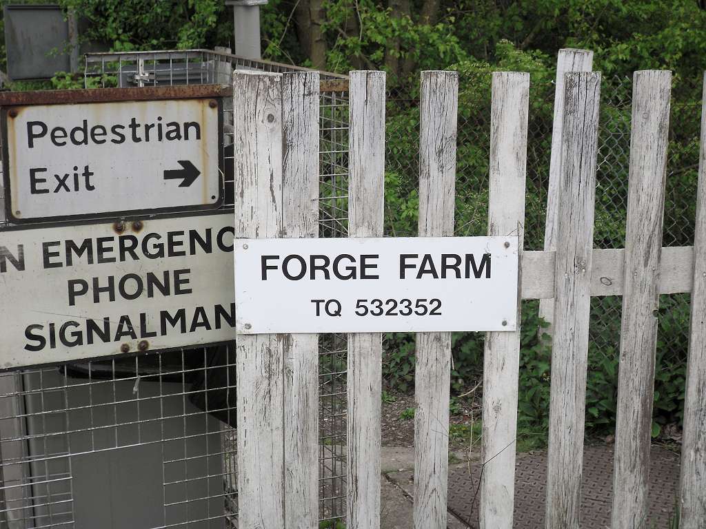 Forge Farm crossing
