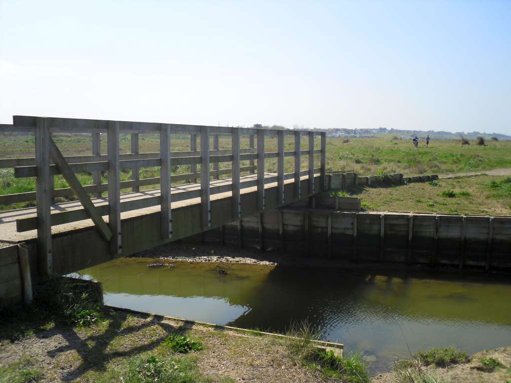 Bridge