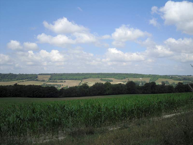 Panoramic view across towards Shoreham