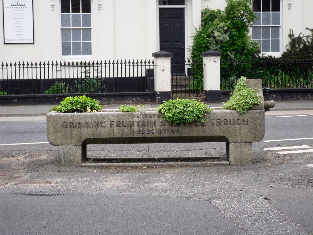 Cattle trough