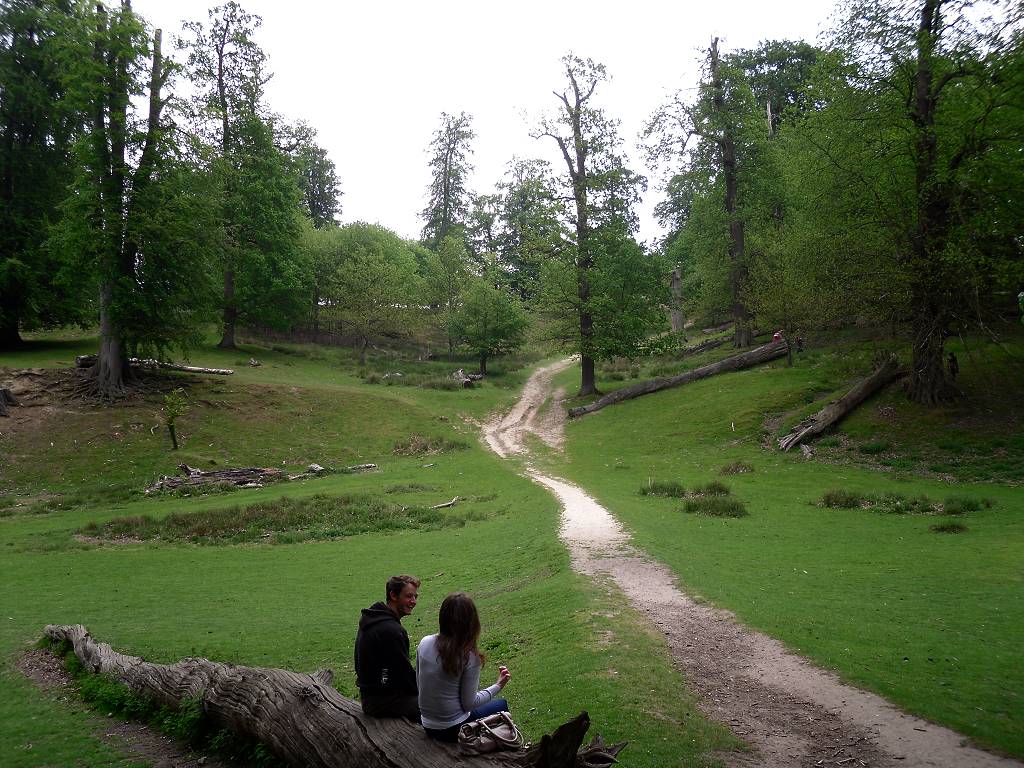 First view of Knole Park