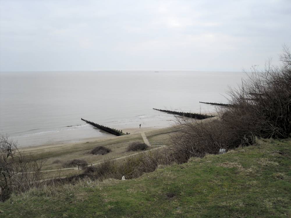 Fossil hunter at The Naze