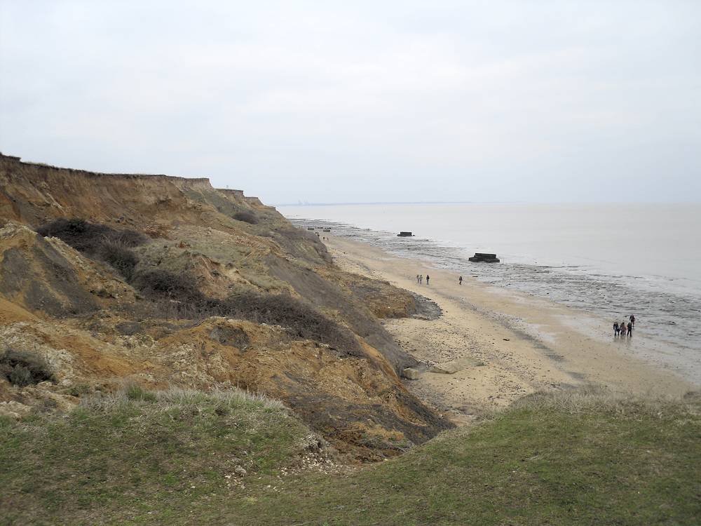 fossil hunters at The Naze