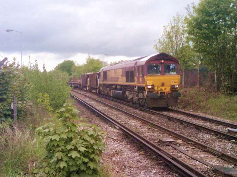 Class 66 loco near Catford Bridge 9th May 2010