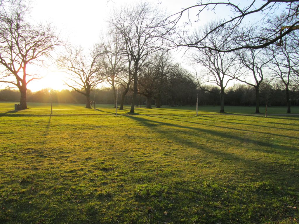 last view of the common with the sun sinking behind the trees
