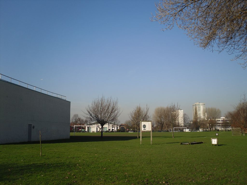 Blue sky over Wandsworth - 31/01/2011