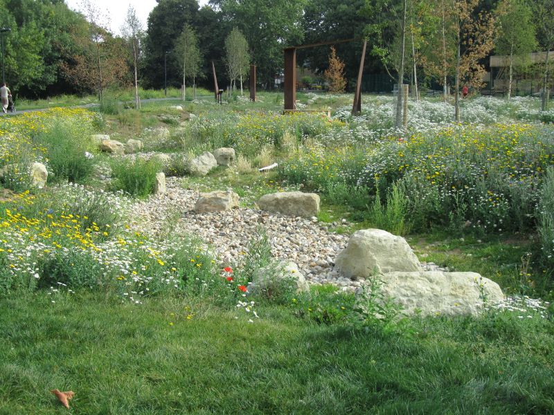 all the colours of an English meadow