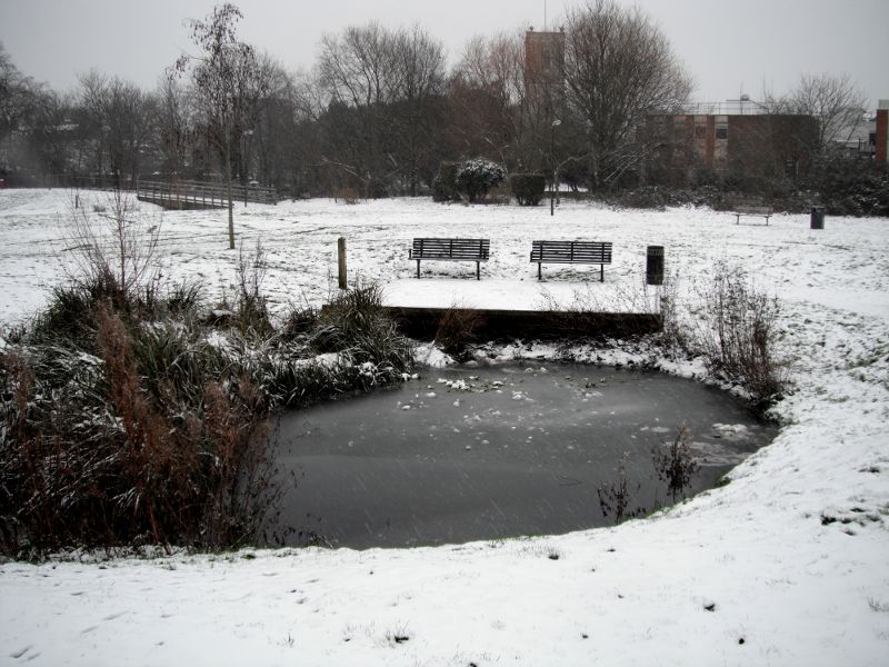 Frozen backwater