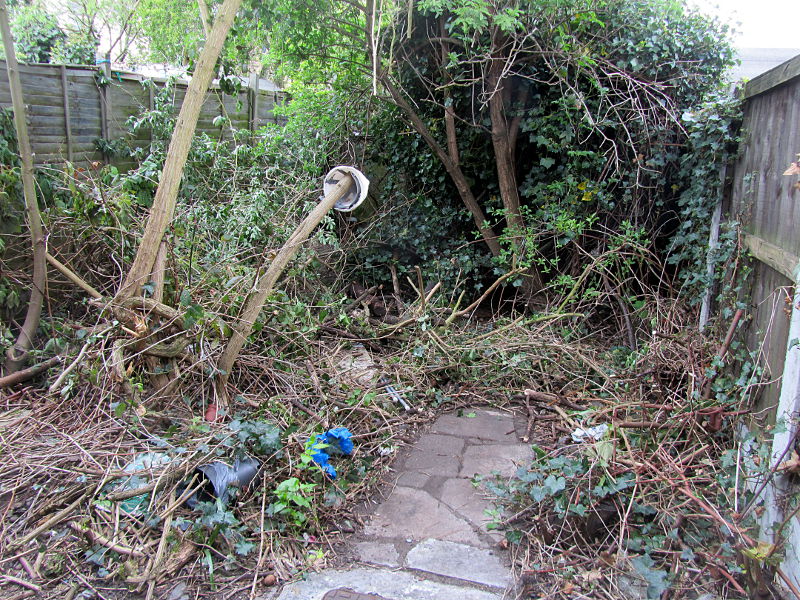 another yard of garden path revealed