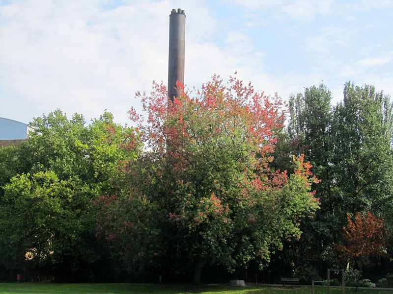 The colours of autumn starting to show