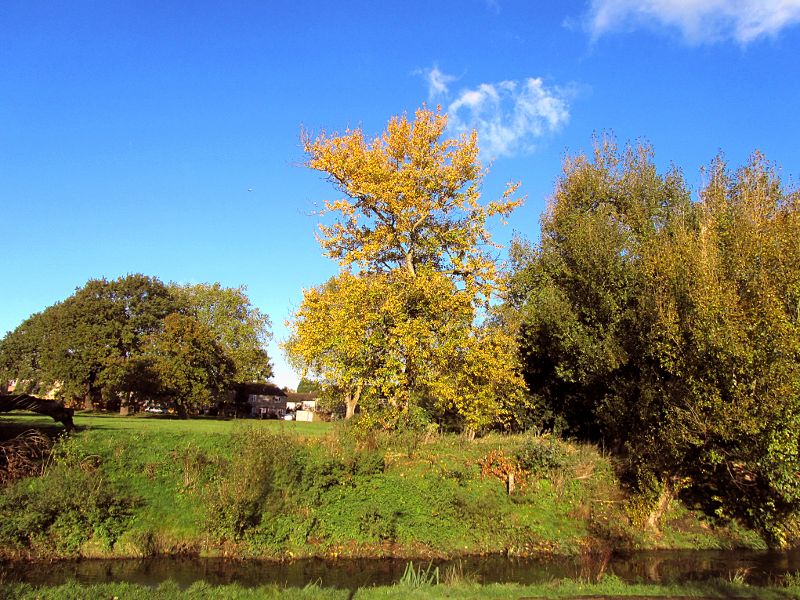 The colours of autumn