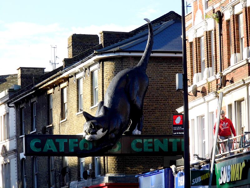 The Catford Cat