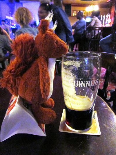 red squirrel stealing Guinness