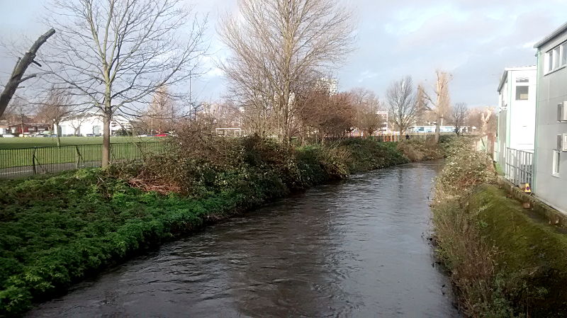 The River Wandle running very high after loads of rain - 7th January 2014
