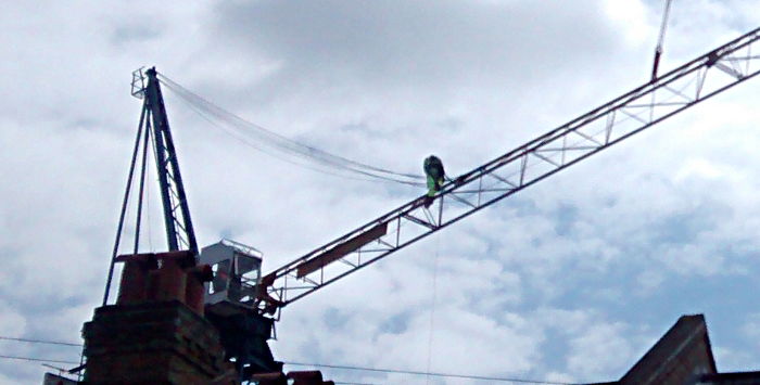 crane erection 3