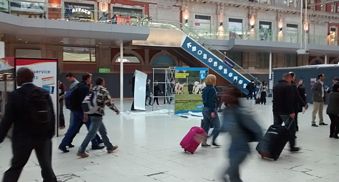 Guide dogs for the blind setting up
                    shop on the concourse of Waterloo station