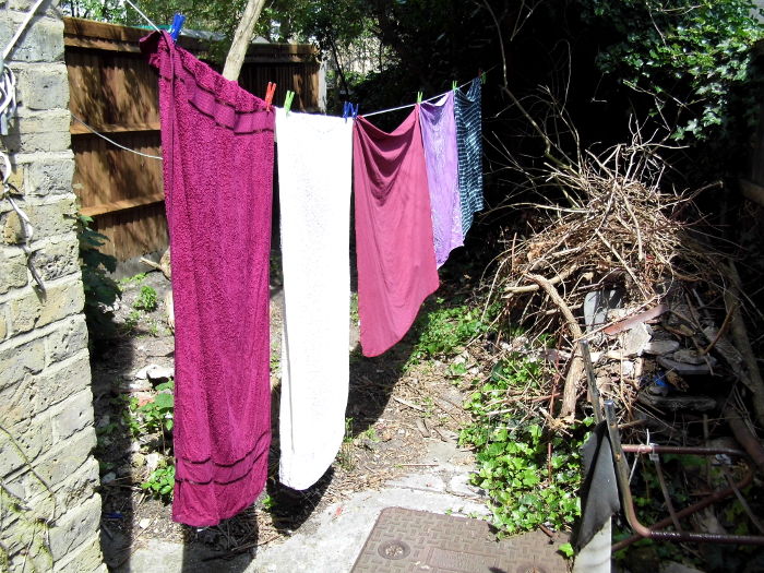 laundry on the washing line