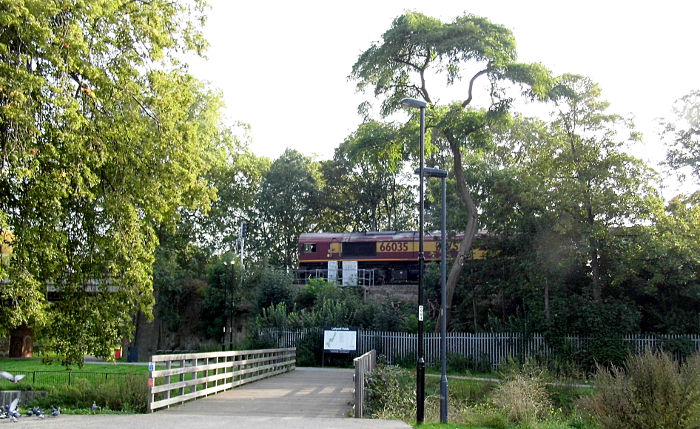 class 66 diesel loco on The Catford Loop line
                  as it passes through the park