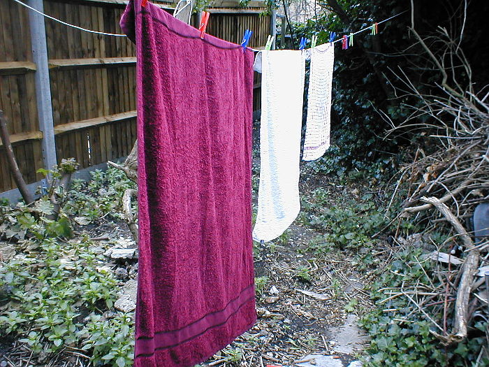 towels on the washing line