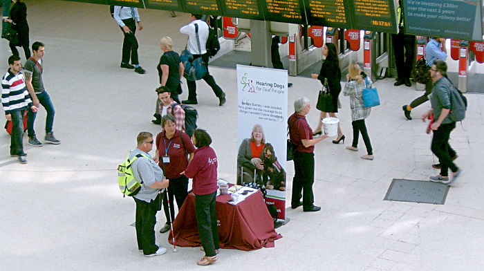 Hearing dogs for the deaf