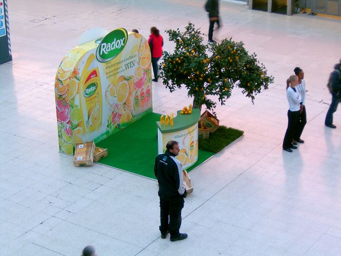 A lemon tree at Waterloo