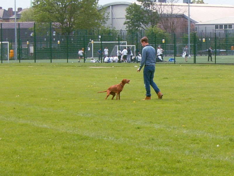 dog and owner in the park