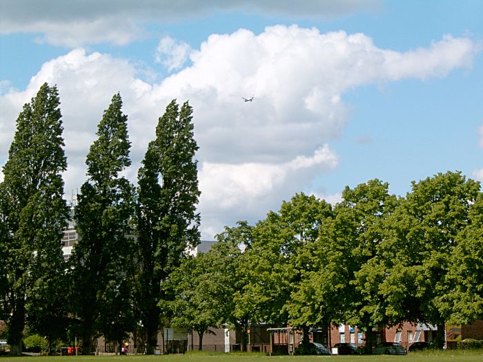 blue sky and fluffy
                    clouds