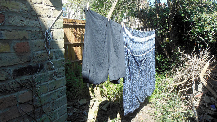 washing on the
                              line