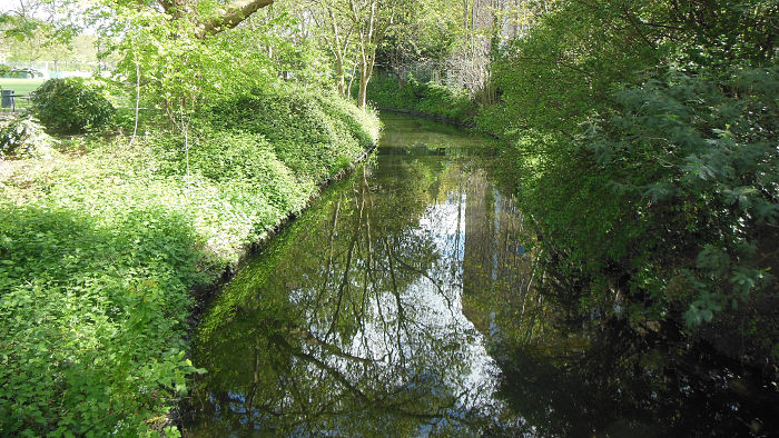 The River Ravensbourne looking very
                          placid and still