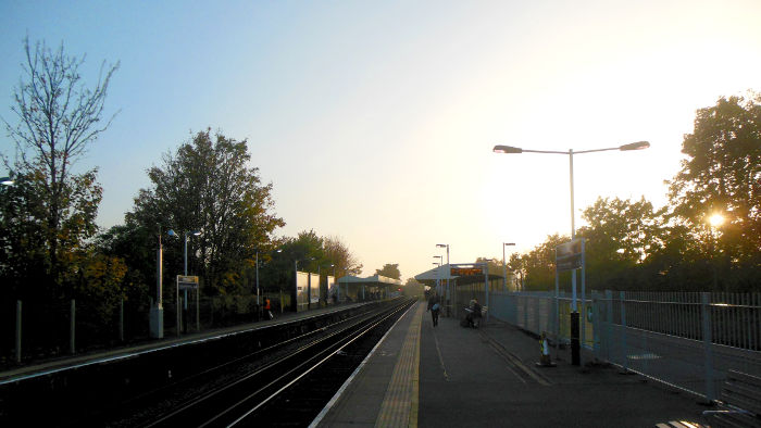 blue sky and sunshine in
                  November