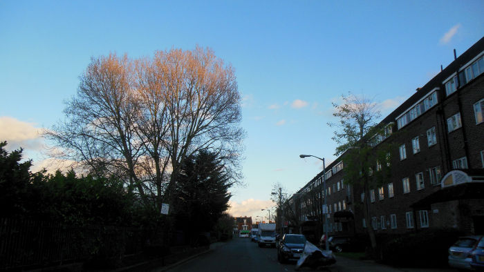 blue sky as I walk from work
                  to the station.