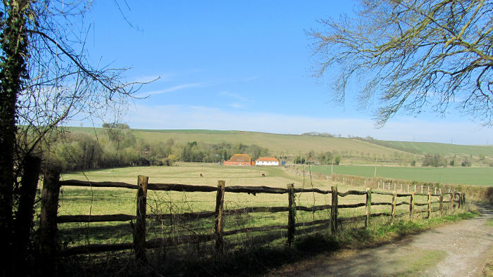 the green hills
                              of earth (or Kent)