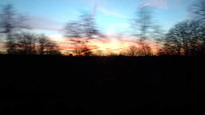 sunrise over
                          Earlsfield cemetery