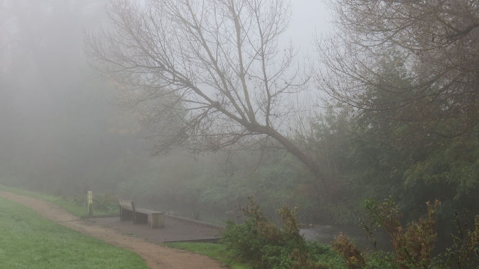 The river Ravensbourne
                  shrouded in fog