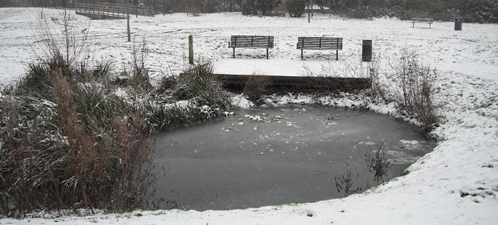 a frozen pond, and snow all
                  about