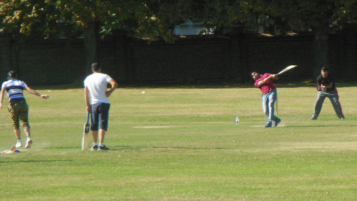 cricket on Wandsworth
                      Common