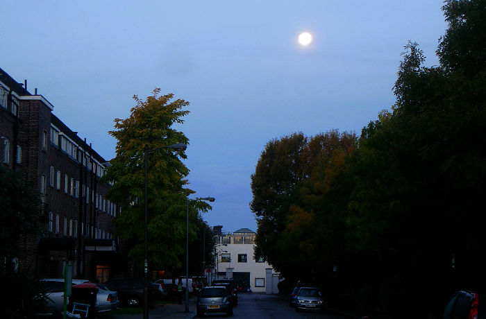 bright moon above work this
                  morning