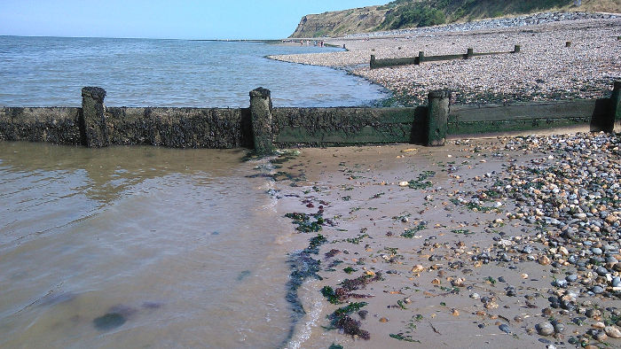 mud, rubble, shingle, slime
                  and seaweed