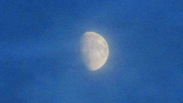 the moon through thin misty
                  clouds