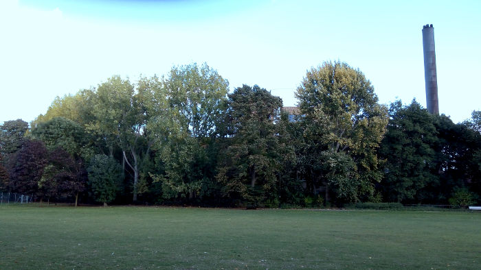 trees not quite showing their autumn
                      colours yet