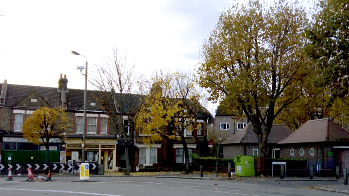 autumn leaves in Earlsfield