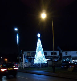 Xmas tree at Shortlands